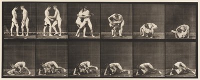 Plaka 345. Güreş, Kilit, 1885 by Eadweard Muybridge