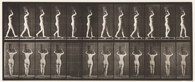 Plaka 34. Yürüyüş by Eadweard Muybridge