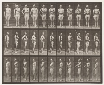 Levha 352. Omuz, Düzen ve Taşıma Kolları by Eadweard Muybridge