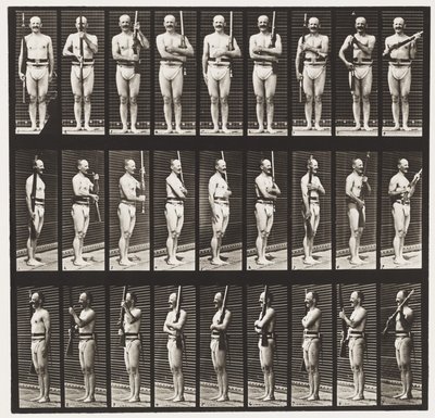Plaka 353. Destek Kolları ve Kolları Limanı, 1872-1885 by Eadweard Muybridge
