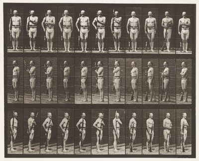 Plaka 354. Taşıma Kolları, Geçit Töreni ve Arka Kollar by Eadweard Muybridge