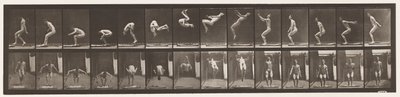 Plaka 362. Arka Takla by Eadweard Muybridge
