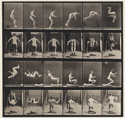 Plaka 363. Koşan Takla, 1885 by Eadweard Muybridge