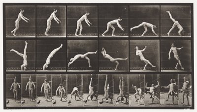 Plaka 365. Baş Yayı, Engelleyen Uçan Bir Güvercin by Eadweard Muybridge
