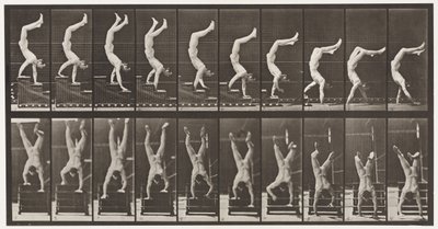 Plaka 368. Akrobat, Ellerde İnen Merdivenler by Eadweard Muybridge