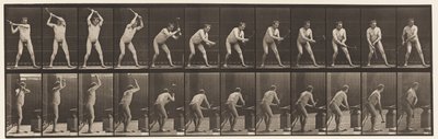 Levha 376. Demirci, Örs Üzerinde Çekiç, İki El, 1872-1885 by Eadweard Muybridge