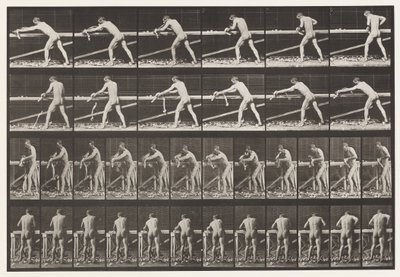 Levha 379. Marangoz, Planya Tahtası, 1872-1885 by Eadweard Muybridge