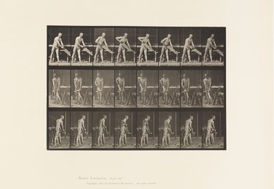 Plaka 380. Marangoz, Testere, 1872-1885 by Eadweard Muybridge