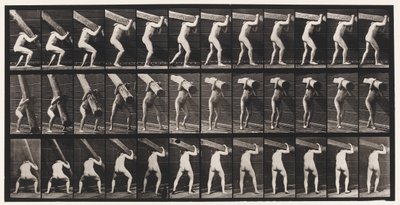 Plaka 383. Omuzda Bir Kütüğü Kaldırma by Eadweard Muybridge