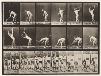 Levha 385. Çiftçi, Kazma Kullanarak, 1872-1885 by Eadweard Muybridge