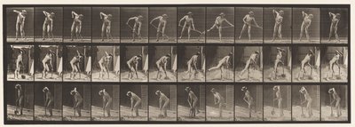 Plaka 387. Uzun Saplı Kürek Kullanan Çiftçi by Eadweard Muybridge