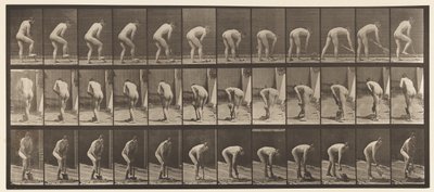 Levha 388. Kürek Kullanan Çiftçi, 1872-1885 by Eadweard Muybridge