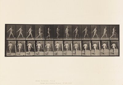 Plaka 389. Çiftçi, Saçılan Tohum, 1872-1885 by Eadweard Muybridge