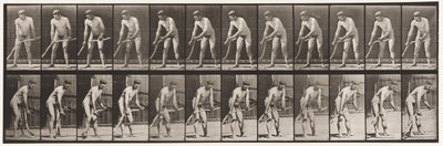 Plaka 391. Çiftçi, Çim Biçme by Eadweard Muybridge