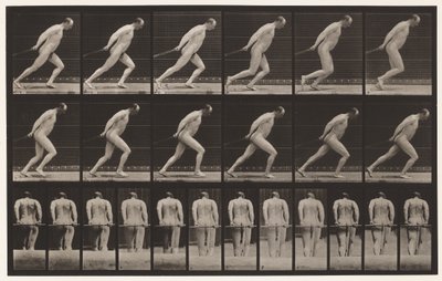 Plaka 392. Bahçe Silindirini Sürüklemek, 1872-1885 by Eadweard Muybridge