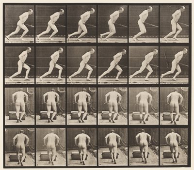 Levha 393. Bahçe Silindirini İtmek, 1872-1885 by Eadweard Muybridge