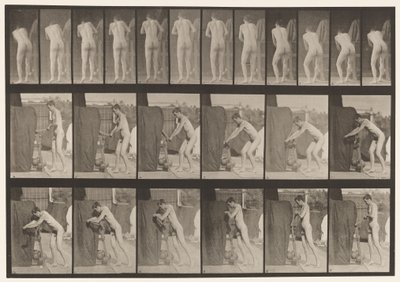 Plaka 394. Krank Kolunu Çevirme by Eadweard Muybridge