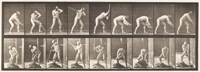 Plaka 396. Tokmakla Vurma by Eadweard Muybridge