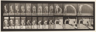 Levha 399. Su Boşaltma Kovası, 1872-1885 by Eadweard Muybridge