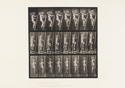 Levha 405. Tuğla Elini Merdivende Taşıma, 1872-1885 by Eadweard Muybridge