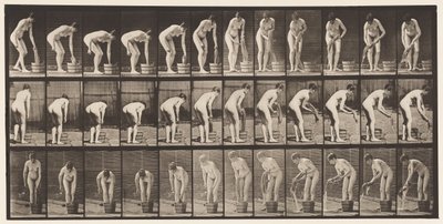 Plaka 433. Giysileri Sıkma by Eadweard Muybridge
