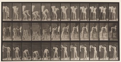 Levha 434. Hatta Asılan Giysiler, 1872-1885 by Eadweard Muybridge