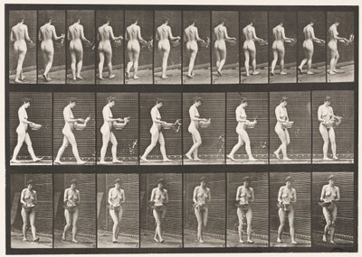Levha 43. Yürüyüş, Havzadan Su Serpme, Dönme by Eadweard Muybridge