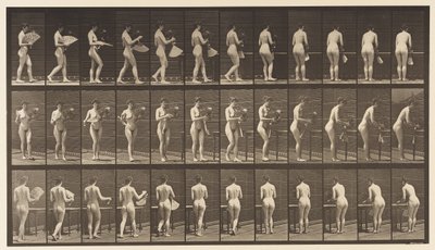 Levha 441. Vazo Taşıma ve Masaya Yerleştirme, 1872-1885 by Eadweard Muybridge