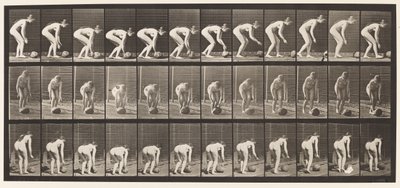 Plaka 442. Eğilip Yerde Taş Yuvarlama by Eadweard Muybridge