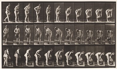 Levha 446. Su Kavanozundan Yerdeki Sürahi Doldurma by Eadweard Muybridge