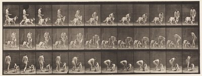 Plaka 449. Köpek Besleme by Eadweard Muybridge