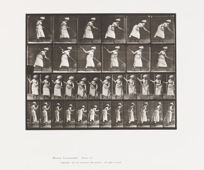 Plaka 456. Sıralama, 165 by Eadweard Muybridge