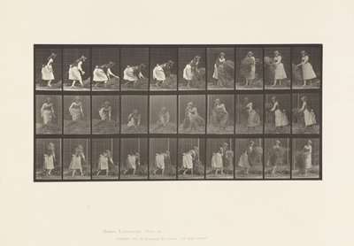 Levha 458. Avuç Avuç Samanı Kaldırma, Çevirme, Yere Atma by Eadweard Muybridge
