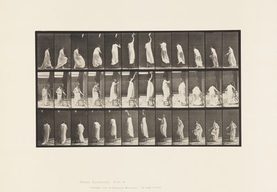 Plaka 459. Sandalyeye Basma, Uzanma ve İnme, 1885 by Eadweard Muybridge