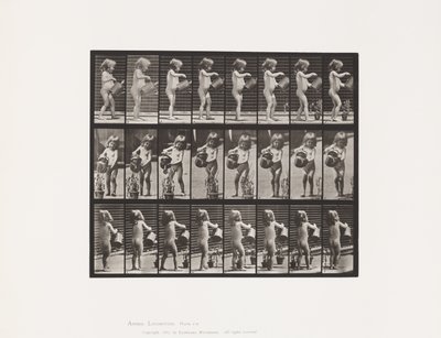 Levha 478.Çocuk, Bazı Çiçeklerin Üzerine Su Serpme, 1885 by Eadweard Muybridge