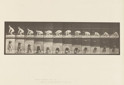 Plaka 479. Çocuk, Yerden Kalkıyor by Eadweard Muybridge