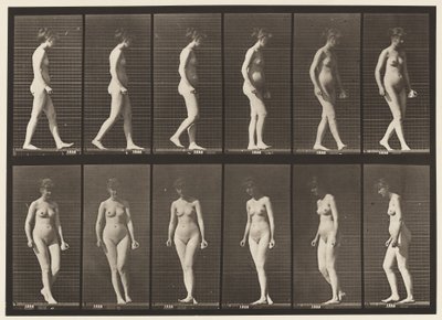 Plaka 47. Yürümek ve Dönmek by Eadweard Muybridge