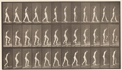 Plaka 482. A, Yürüyüş; B, Yükselen Merdivenler; C, Yükselen Eğim, 1872-1885 by Eadweard Muybridge