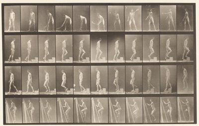 Plaka 486. A, Çim Tenisi; B, Bir Basamak Yükselmek;, 1872-1885 by Eadweard Muybridge