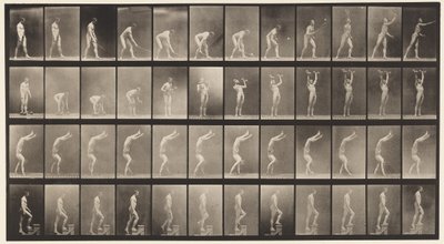 Plaka 488. A, Çim Tenisi; B, Aptal Çanlar; C, Eller Üzerinde Yürümek;, 1872-1885 by Eadweard Muybridge