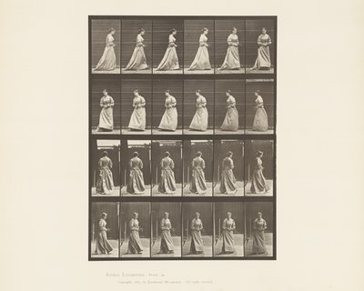 Tabak 48. İki Elle Yürüyen ve Dönen Buket, 1885 by Eadweard Muybridge