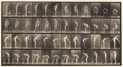 Plaka 490. A, Oturarak; B, Oturarak; C, Yağmurlama Suyu by Eadweard Muybridge