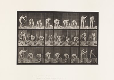 Plaka 505. Duvar örme by Eadweard Muybridge