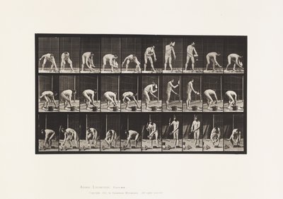 Plaka 506. Duvar örme by Eadweard Muybridge