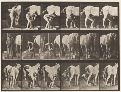 Plaka 509. Atı Pabuçlamak by Eadweard Muybridge