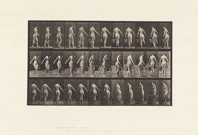 Plaka 50. Yürümek, Kova Taşımak by Eadweard Muybridge