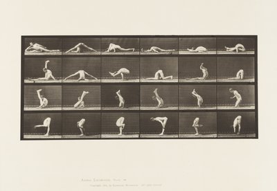 Levha 510. Yerdeki Bükülmeler, 1872-1885 by Eadweard Muybridge