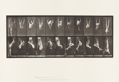 Plaka 512. Halkalarda Bükülmeler by Eadweard Muybridge