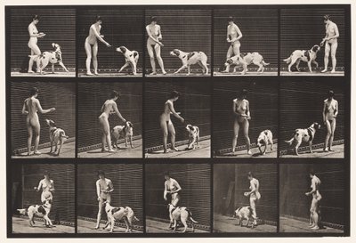 Plaka 514. Köpek Besleme by Eadweard Muybridge