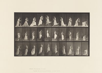 Plaka 515. Çıkan ve Azalan Merdivenler vb., 1885 by Eadweard Muybridge
